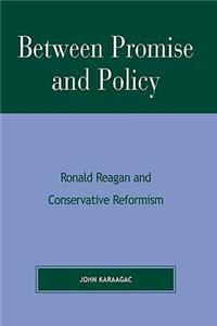 Between Promise and Policy