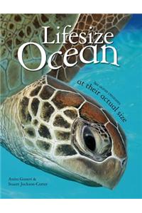Lifesize Ocean