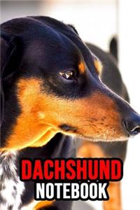 Dachshund Notebook