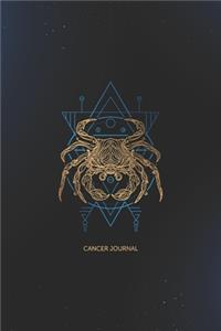 Cancer Journal