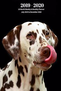 2019 - 2020 18 Month Weekly & Monthly Planner July 2019 to December 2020