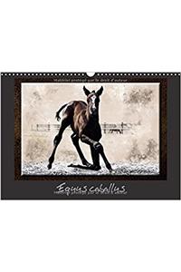 Equus Caballus 2018
