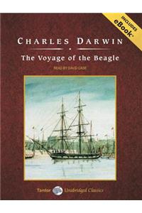 The Voyage of the Beagle
