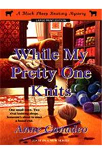 While My Pretty One Knits