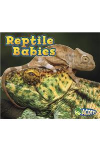 Reptile Babies