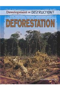 Deforestation