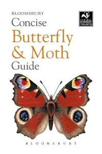 Concise Butterfly & Moth Guide