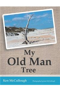 My Old Man Tree