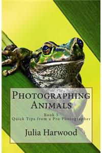 Photographing Animals