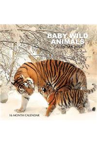 Baby Wild Animals Calendar 2016: 16 Month Calendar