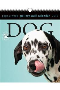 Dog Page-A-Week Gallery Wall Calendar 2019
