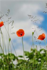Orange California Poppy Journal