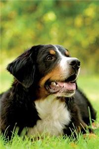 Bernese Mountain Dog Notebook & Journal. Productivity Work Planner & Idea Notepad