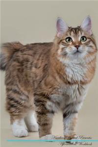 Kurilian Bobtail Affirmations Workbook Kurilian Bobtail Presents