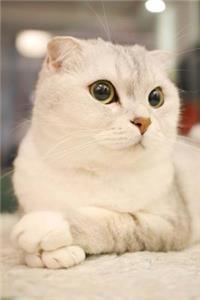 Scottish Fold Cat Journal 