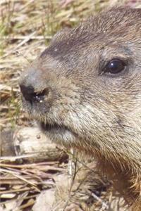 The Woodchuck Journal