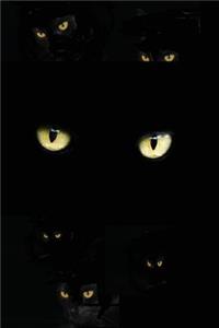 Black Cat Eyes