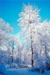 Journal Snowy Forest
