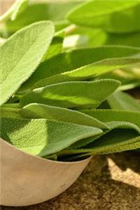 Freshly Harvested Sage in a Ladle Journal