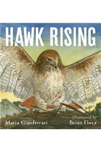 Hawk Rising