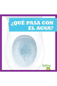 ¿Qué Pasa Con El Agua? (Where Does Water Go?)