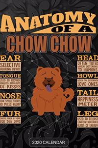 Anatomy Of A Chow Chow