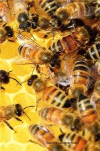 Abeilles Carnet de notes