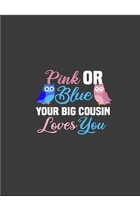 Pink Or Blue Your Big cousin Loves you