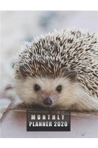 Monthly Planner 2020