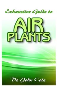 Exhaustive Guide To Air Plants