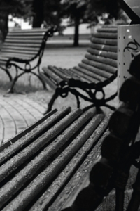 I Will Name You Baran