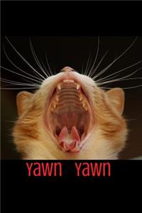 Yawn Yawn