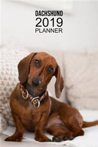 Dachshund Planner