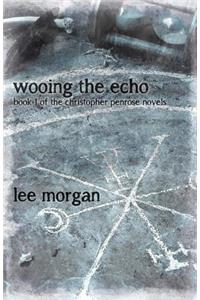 Wooing the Echo