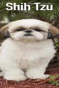 Shih Tzu Slim Calendar 2020