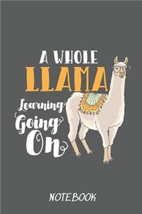 A Whole Llama Learing Going on Notebook