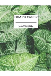 Graph Paper