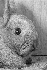 Rabbit Notebook