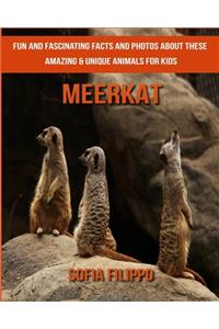 Meerkat