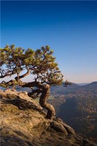 Natural Bonsai Notebook