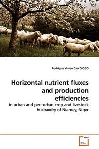 Horizontal nutrient fluxes and production efficiencies