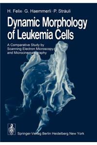 Dynamic Morphology of Leukemia Cells