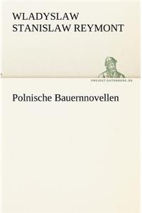 Polnische Bauernnovellen