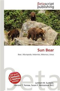 Sun Bear