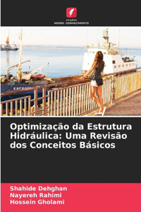 Optimização da Estrutura Hidráulica