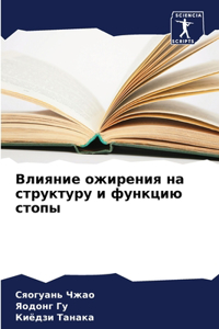 Влияние ожирения на структуру и функцию 
