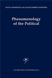 Phenomenology of the Political