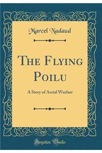 The Flying Poilu: A Story of Aerial Warfare (Classic Reprint)