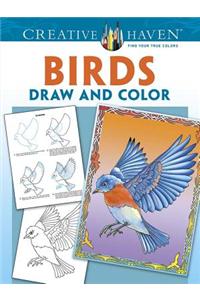 Creative Haven Birds Draw and Color