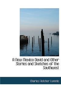 A New Mexico David and Other Stories and Sketches of the Southwest